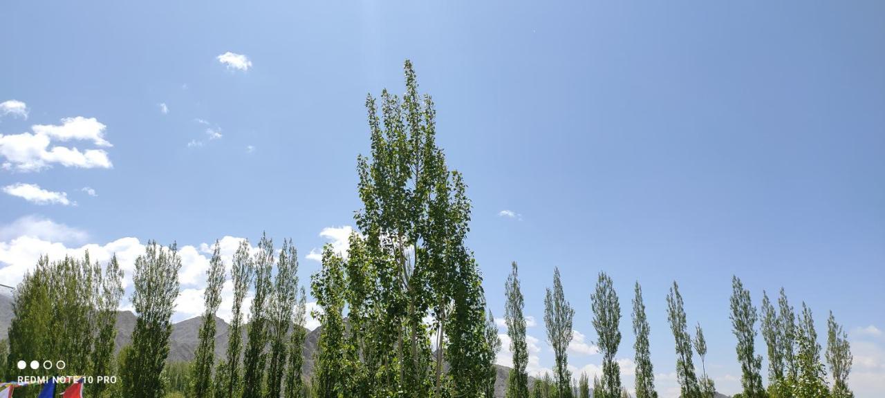 Noor Guest House Leh Buitenkant foto